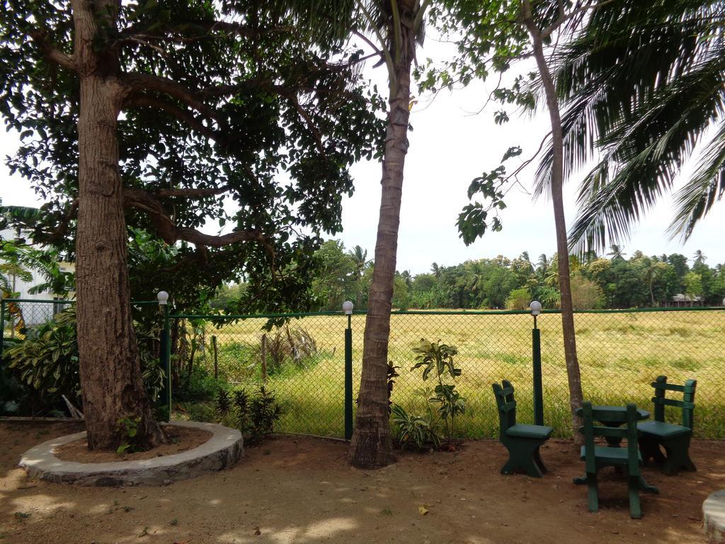 Man Guest Polonnaruwa Hotel Luaran gambar