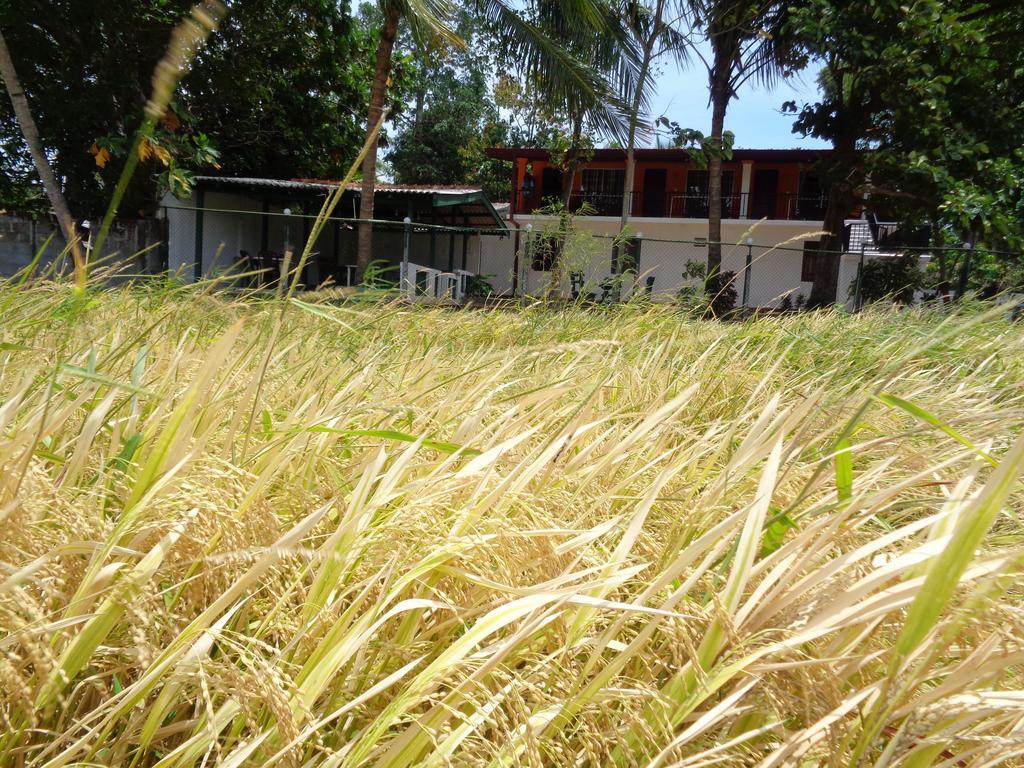 Man Guest Polonnaruwa Hotel Luaran gambar